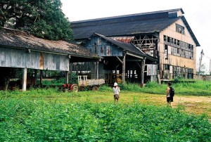 The Ruins of Fordlandia.